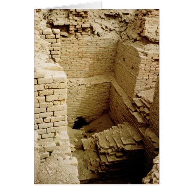 宮殿の台なし (正面)