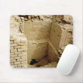 宮殿の台なし マウスパッド (マウス)