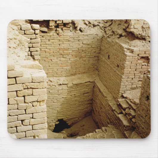 宮殿の台なし マウスパッド (正面)