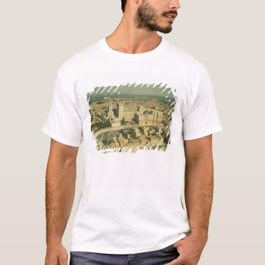 宮殿の空中写真 Tシャツ (正面)