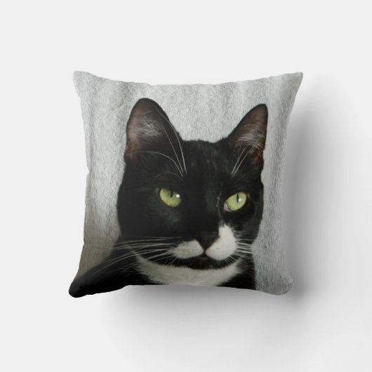 害のタキシード猫の枕 クッション (裏面)