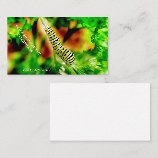 害虫防除会社 名刺 (正面/裏面)