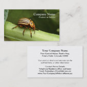 害虫駆除の名刺 名刺 (正面/裏面)