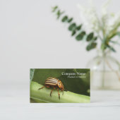 害虫駆除の名刺 名刺 (スタンド正面)