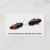 害虫駆除の名刺 名刺 (裏面)