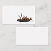 害虫駆除業者の名刺 名刺 (正面/裏面)