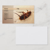 害虫駆除業者 名刺 (正面/裏面)