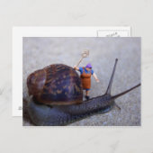 害虫駆除 ポストカード (正面/裏面)