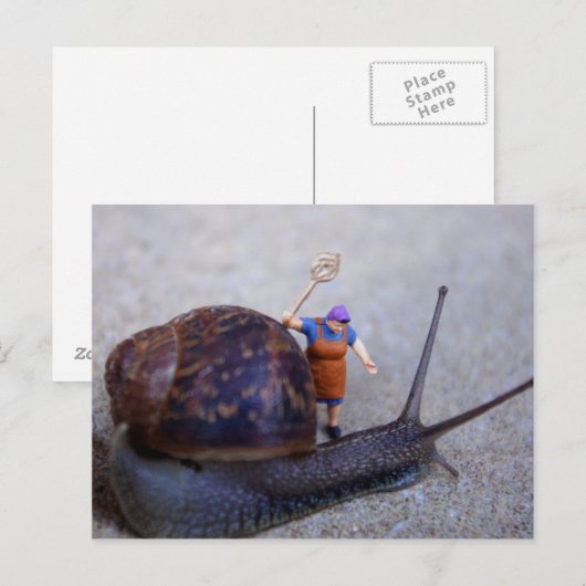 害虫駆除 ポストカード (正面/裏面)