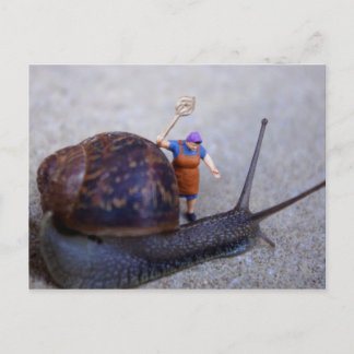 害虫駆除 ポストカード