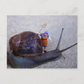 害虫駆除 ポストカード (正面)