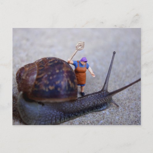 害虫駆除 ポストカード (正面)