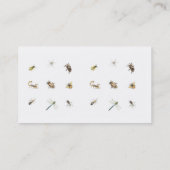 害虫駆除 名刺 (裏面)