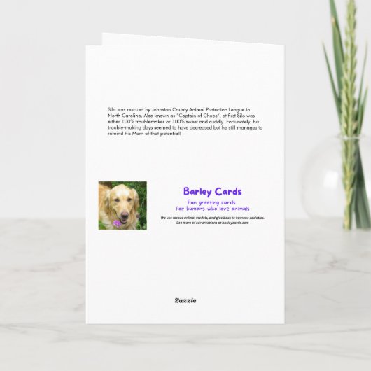 家おもしろいの父の日を守る猫 カード (裏面)