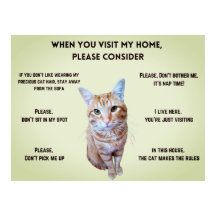 家おもしろいの規パーソナライズされた則（猫の写真）