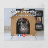 家おもしろい実在の中で暮らす猫 チラシ (正面)