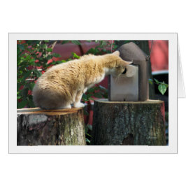 家にいるか頼ら