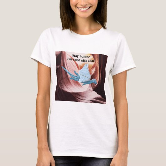 家にいろ?私はカッコいいそれだ! Tシャツ (正面)