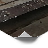 家にハトを持ち帰る。 ポスター (角)