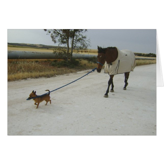 家に向かうこと (正面横)