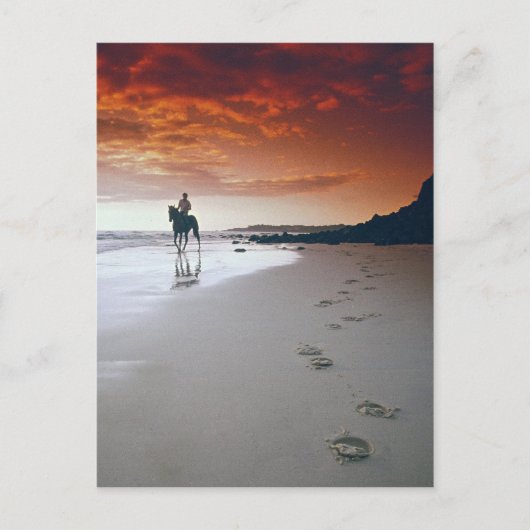 家に向かう ポストカード (正面)