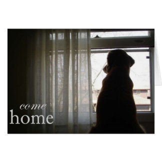 家に帰って下さい