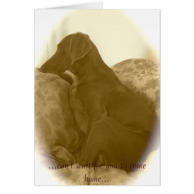 ……家に帰るために待つことができません (正面)