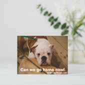 家に帰れ！ ポストカード (スタンド正面)