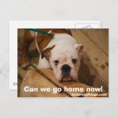 家に帰れ！ ポストカード (正面/裏面)