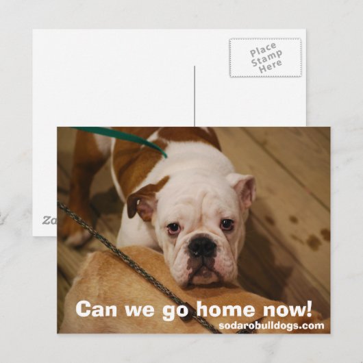 家に帰れ！ ポストカード (正面/裏面)