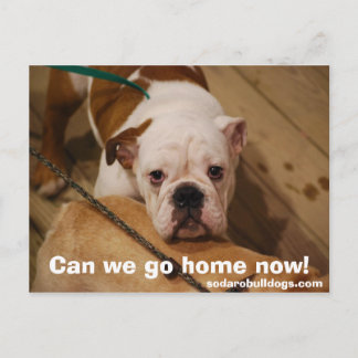 家に帰れ！ ポストカード