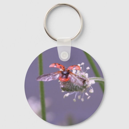 家に飛び遠くに込む キーホルダー (正面)