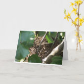 家のさえずりの家 カード (黄色い花)