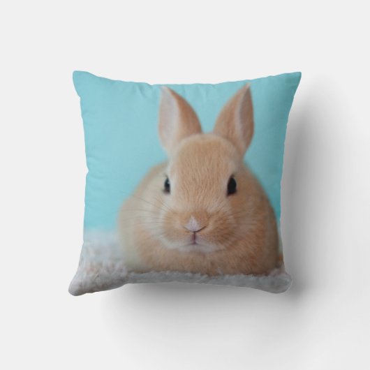 家のウサギ所有者のための私のバニーPHOTOギフト大好き クッション (裏面)