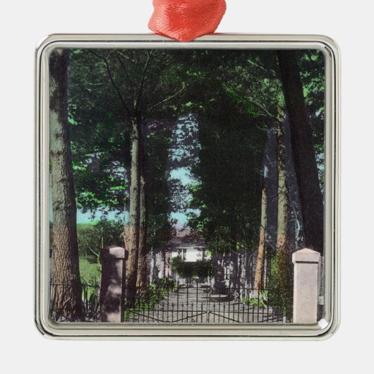 家のセオドアWagnerの意見への入口 メタルオーナメント (正面)