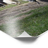 家のハーディング フォトプリント            (角)