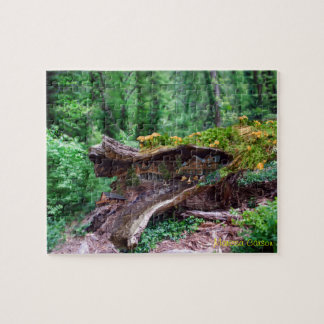 家のパズルが付いている空の丸太 ジグソーパズル