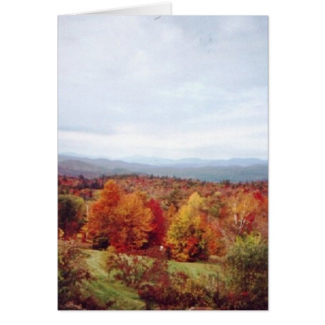 "家の後ろで右" (正面)