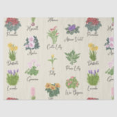 家の植物とその名前 – かわいいミニマルモダン 薄葉紙 (正面)