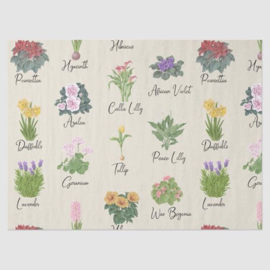 家の植物とその名前 – かわいいミニマルモダン 薄葉紙 (正面)