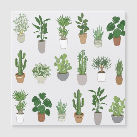 家の植物、ヴィンテージのドードルパターン (正面)