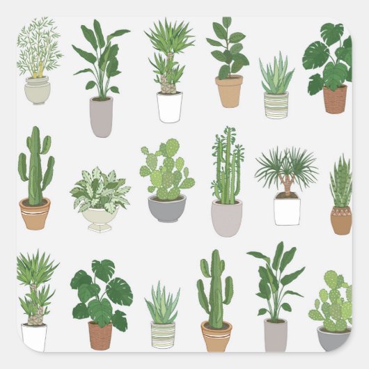 家の植物、ヴィンテージのドードルパターン スクエアシール (正面)
