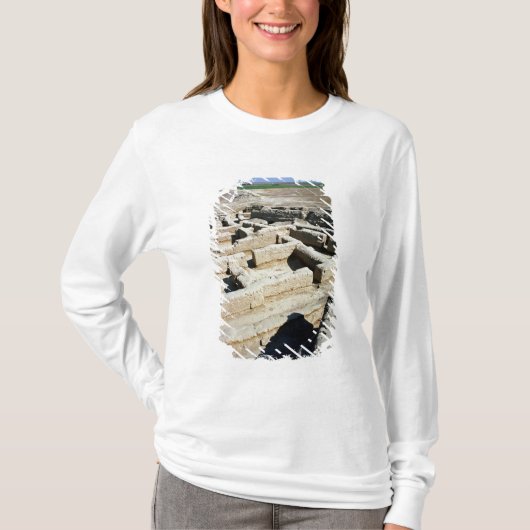 家の残物 Tシャツ (正面)