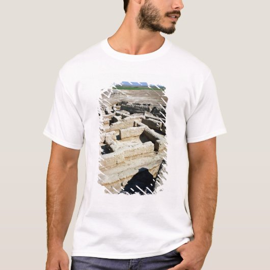 家の残物 Tシャツ (正面)
