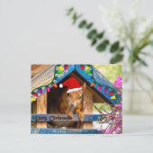 家の郵便はがきのクリスマスのリス シーズンポストカード (スタンド正面)