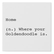 家はあなたのGoldendoodleがあるところです