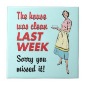 家はきれいな瓦だった タイル (正面)