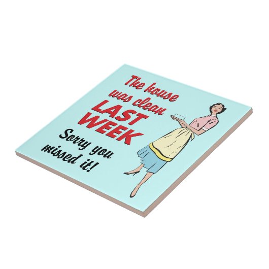 家はきれいな瓦だった タイル (側面)