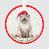 家は家ではなく子猫オーナメント オーナメント (正面)