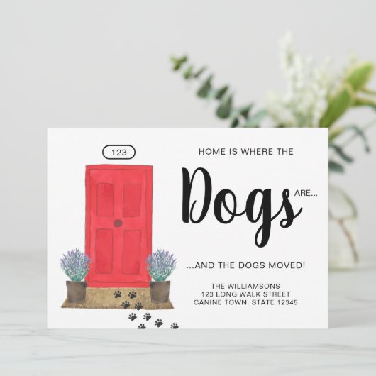 家は犬がドアを動いている 案内状 (スタンド正面)